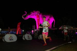 BIB: 
                            <button type="button" onclick="openModal(26543448)" class="btn btn-primary btn-sm float-right btn-popup" data-toggle="modal" data-target=".modal-high-quality">
                        <i class="fas fa-shopping-cart"></i> Add to Cart
                    </button>
                                            <button type="button" onclick="isThisMe(26543448, true)" class="btn btn-success btn-sm float-right btn-popup btn-isme hidden" data-toggle="tooltip" data-placement="bottom" title="นี่คือรูปของคุณใช่ไหม คลิกที่นี่เพื่อเอาเข้าอัลบั้ม">
                        <i class="fas fa-plus"></i> Add to album
                    </button>
                    <button type="button" onclick="isThisMe(26543448, false)" class="btn btn-warning btn-sm float-right btn-popup btn-isnotme hidden">
                        <i class="fas fa-ban"></i> Remove from album
                    </button>